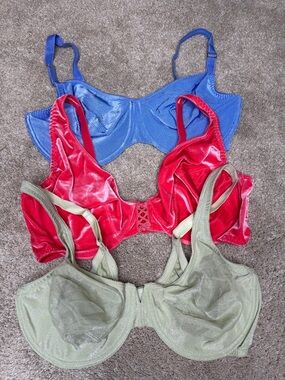 Warners Lane Bryant Woman Within Underwire sparkle ribbed velvet Bra bundle 40D